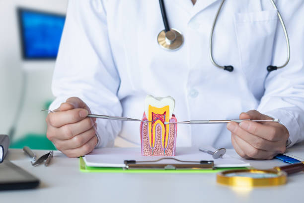 Best Same-Day Emergency Dental Services in Stagecoach, NV